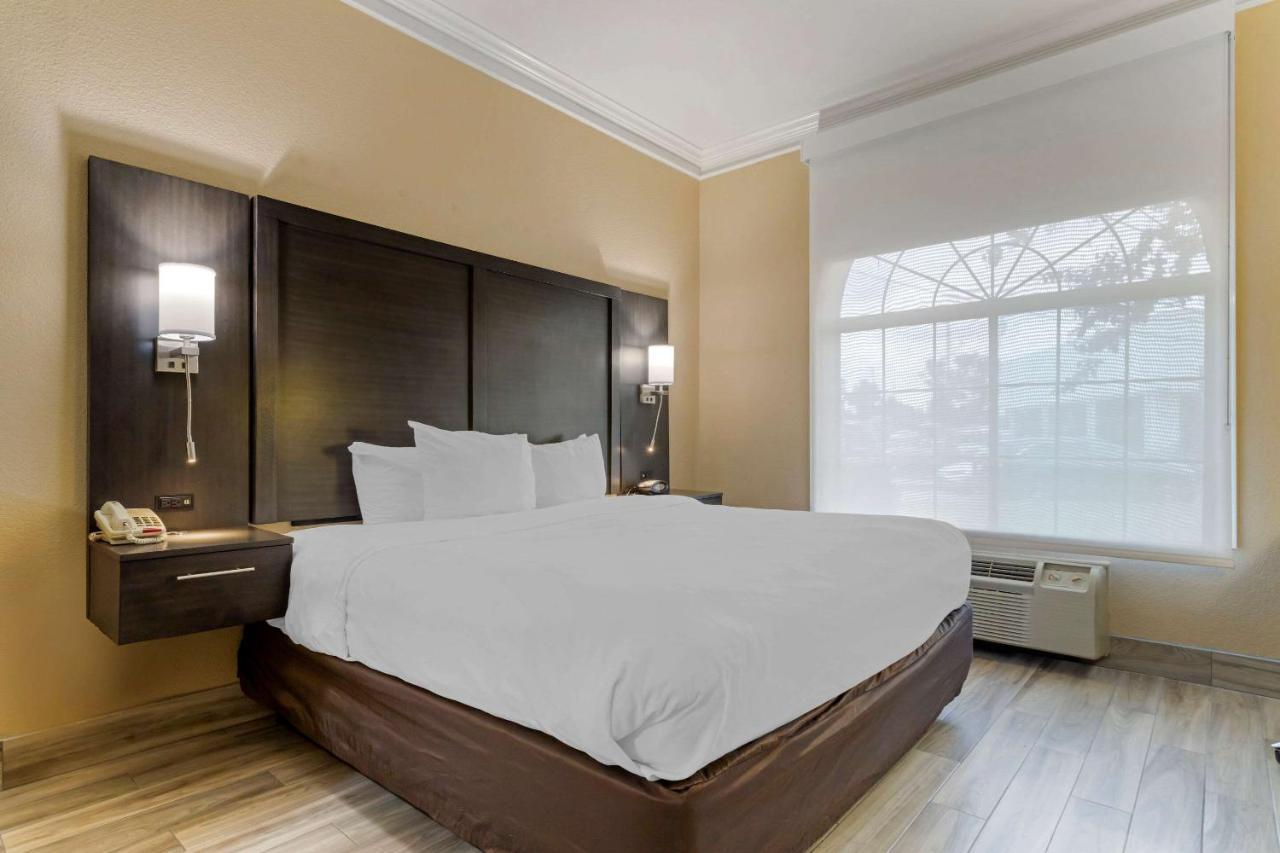 Comfort Suites Kingwood Houston North Humble 59 Dış mekan fotoğraf